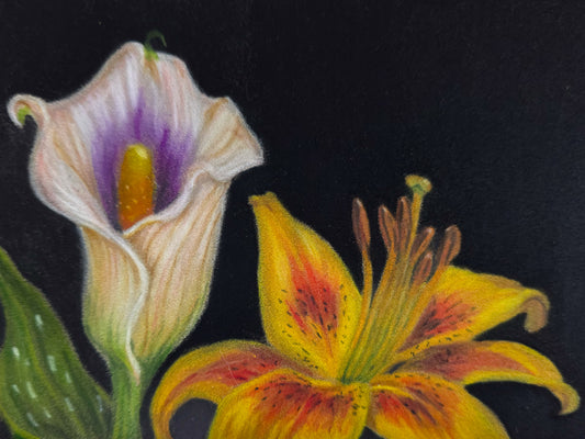 Two Lilies
