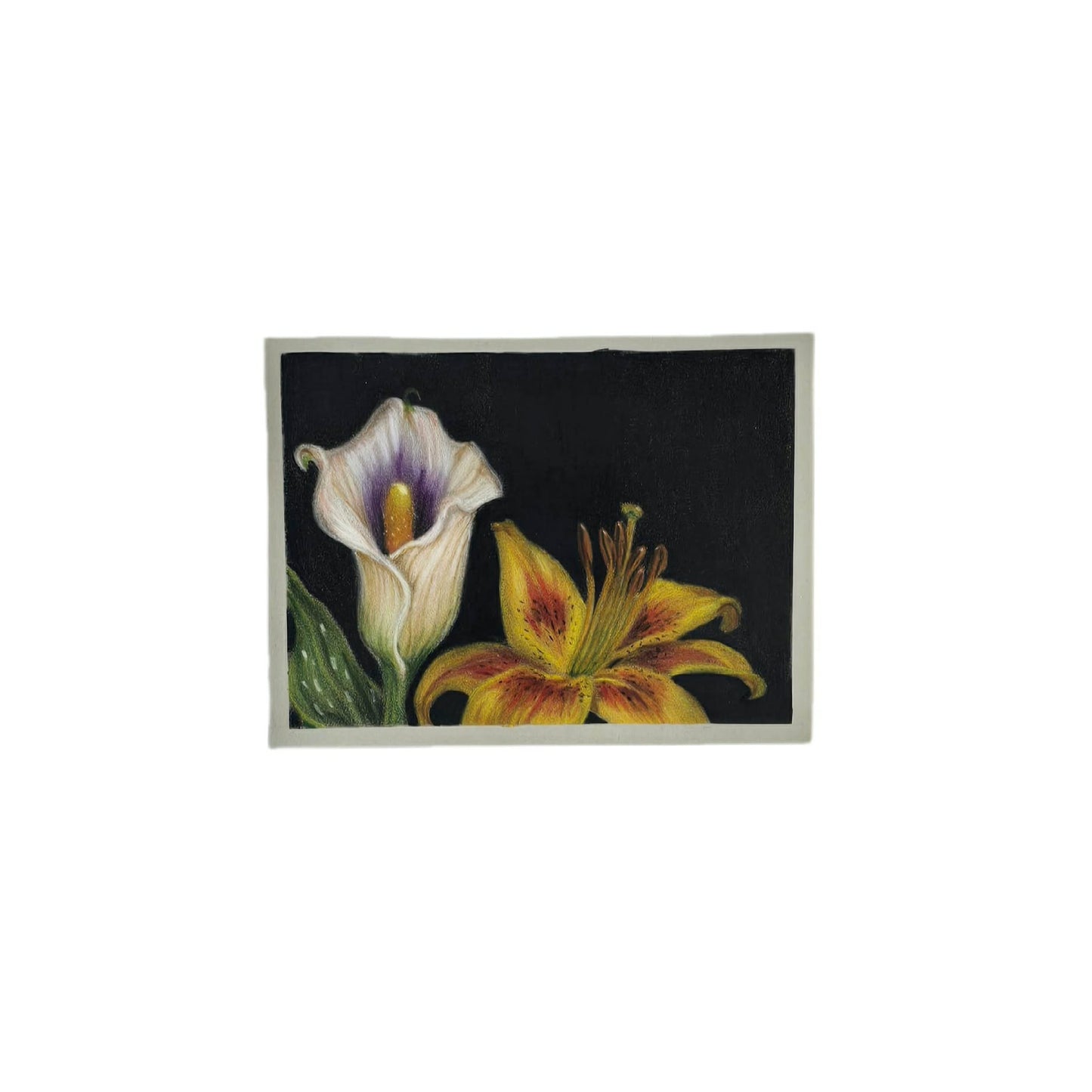 Two Lilies