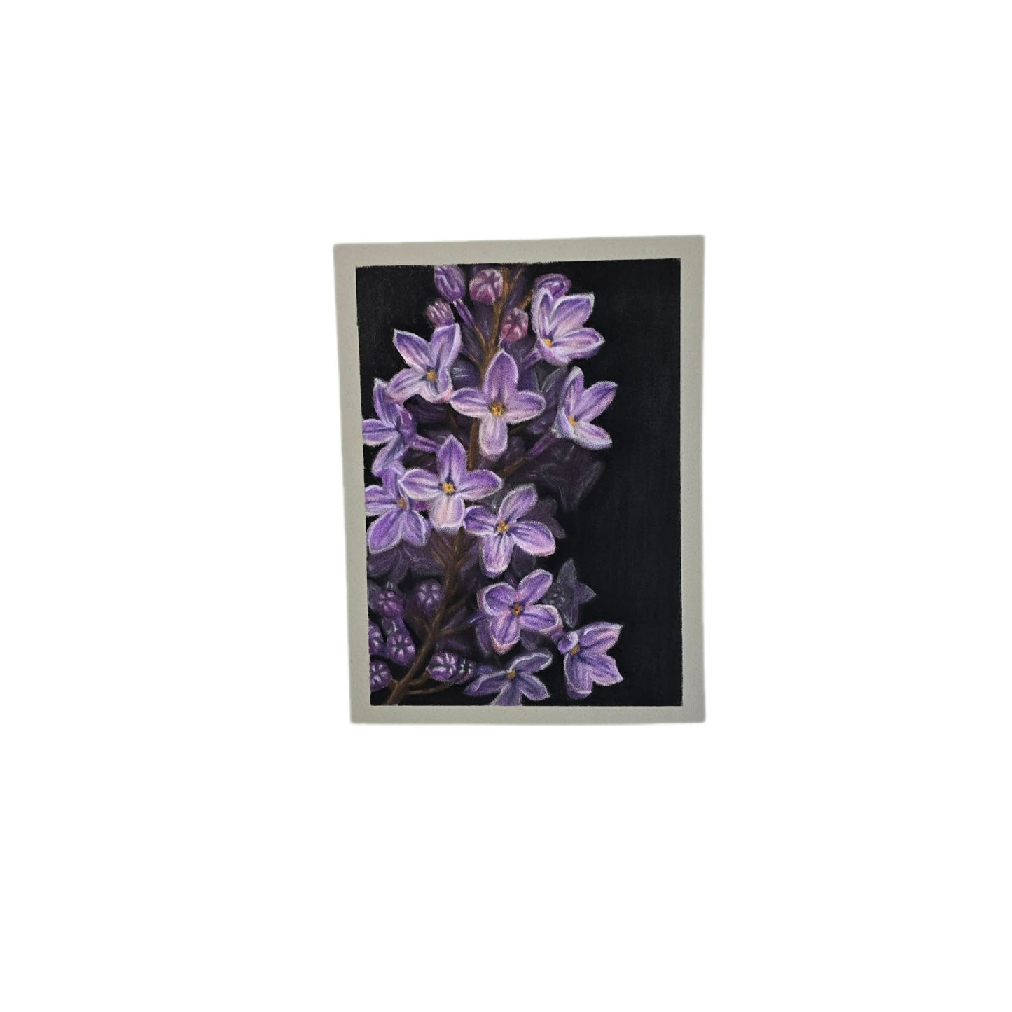 Lilacs