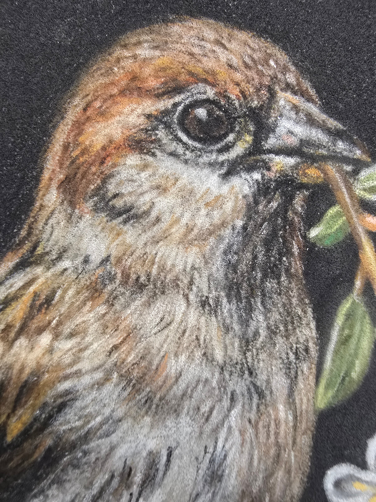 Sparrow & Myrtle | Original Pastel Pencil Bird Artwork | Emergence Study Series